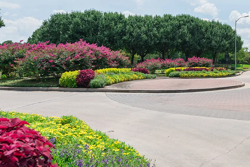 Commercial Landscaping