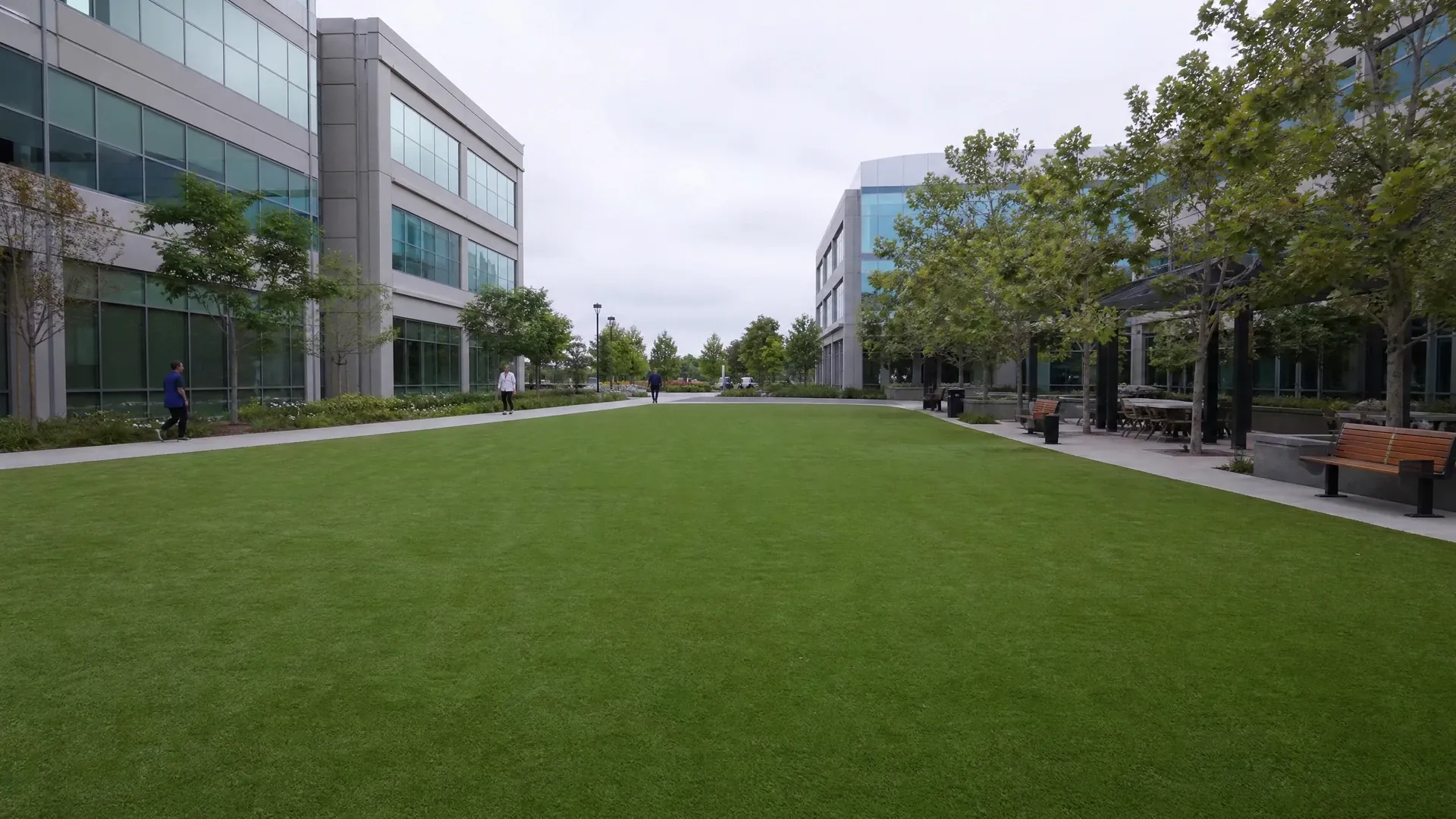 Commercial Turf