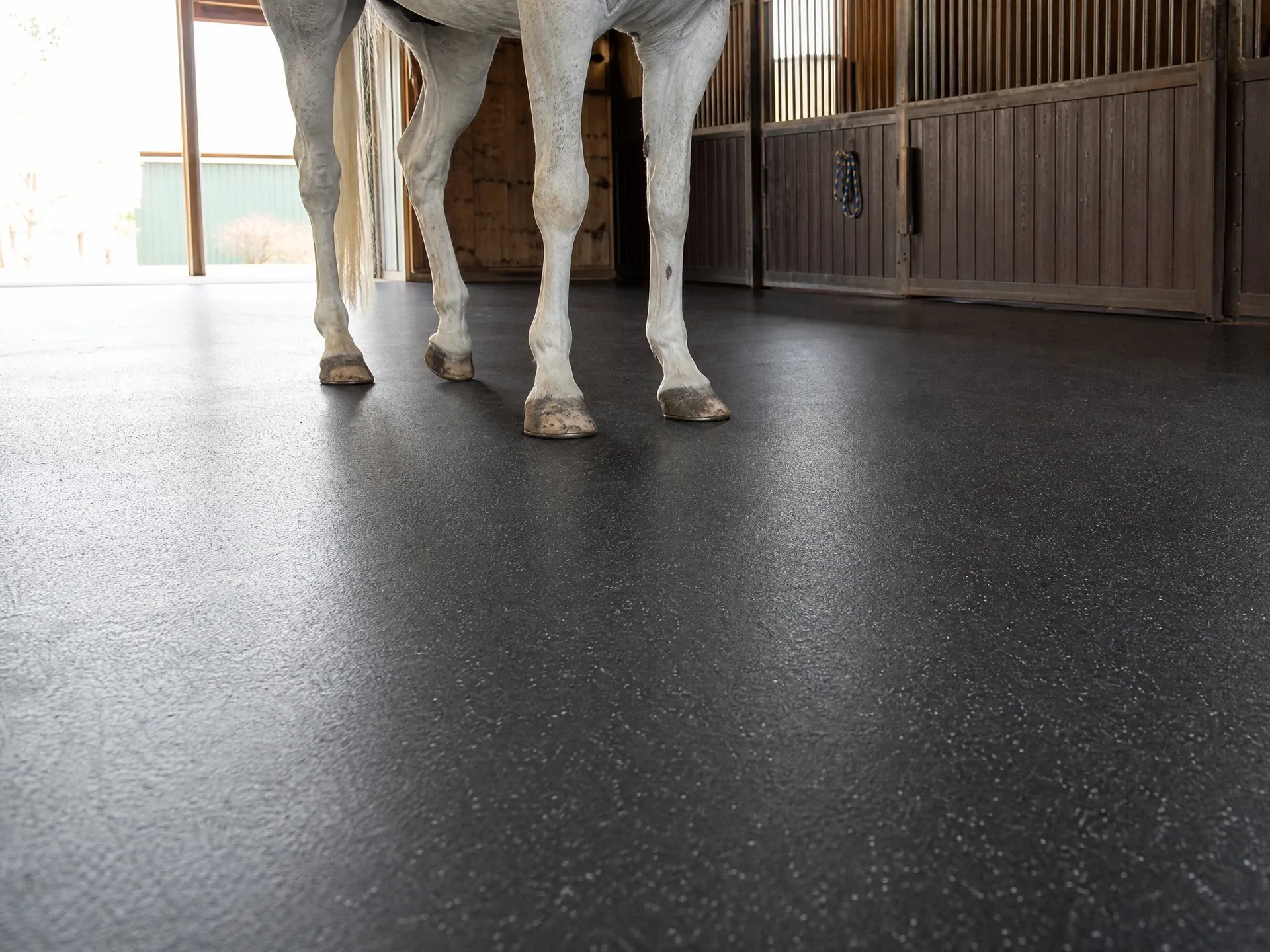 Barns & Equestrian