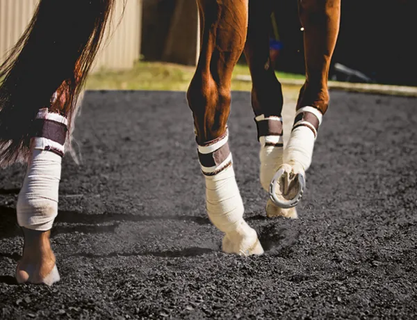 QuadruCare equine rubber surfacing